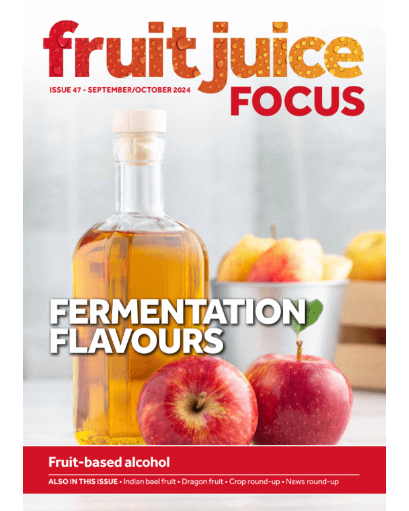 FruitJuice Magazine front cover featuring FruitCraft